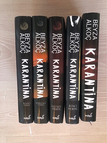 Karantina Kitap Serisi Beyza Alkoç (ciltli)