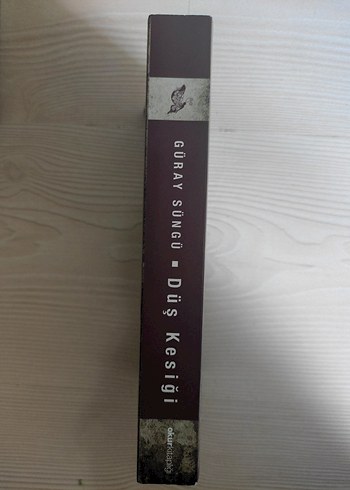 Düş Kesiği - Güray Süngü Roman - Görsel 2