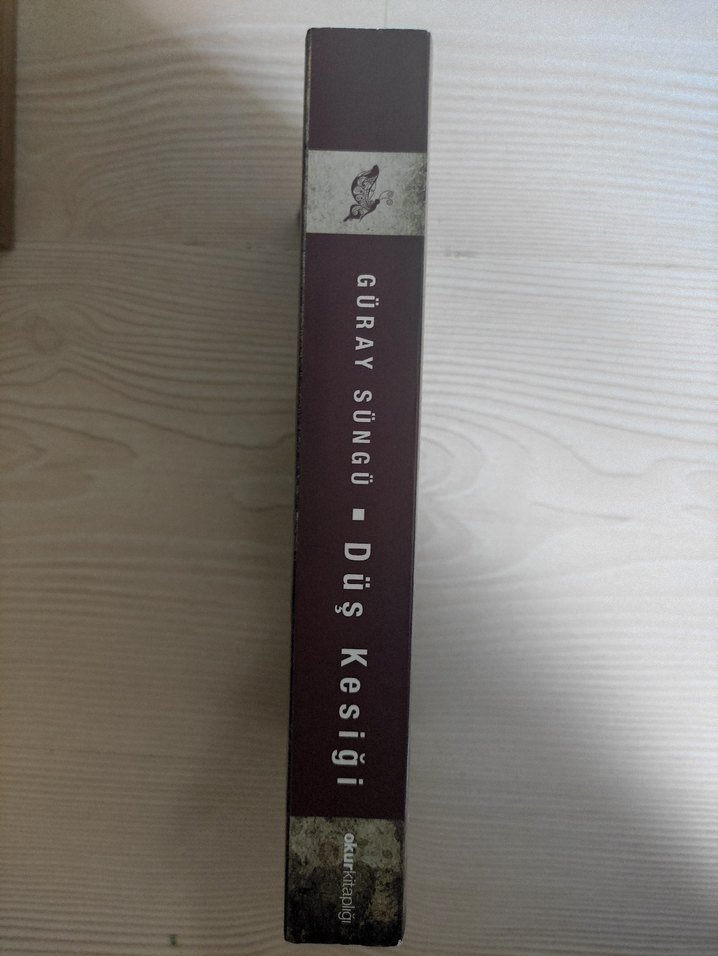 Düş Kesiği - Güray Süngü Roman - Görsel 2