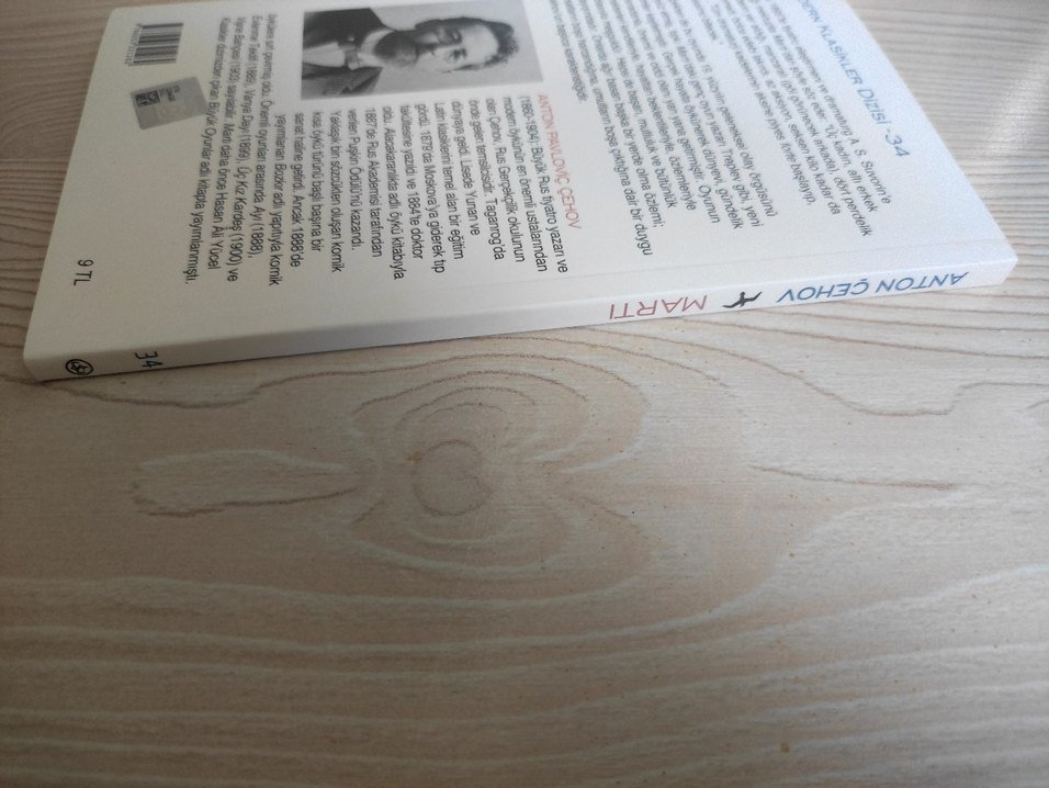 Martı - Anton Çehov - Görsel 3