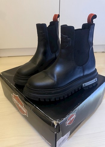 Harley Davidson 37