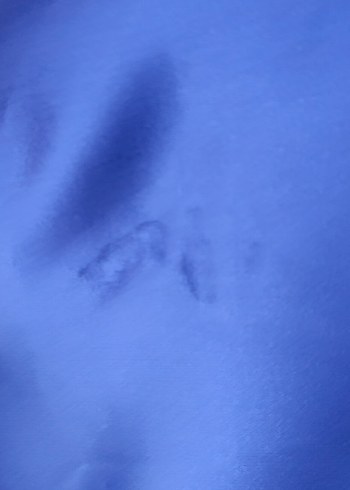 Mavi Drapeli Uzun Abiye Elbise - Görsel 6