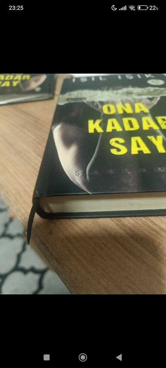 Ona Kadar Say - Işıl Işık - Görsel 2