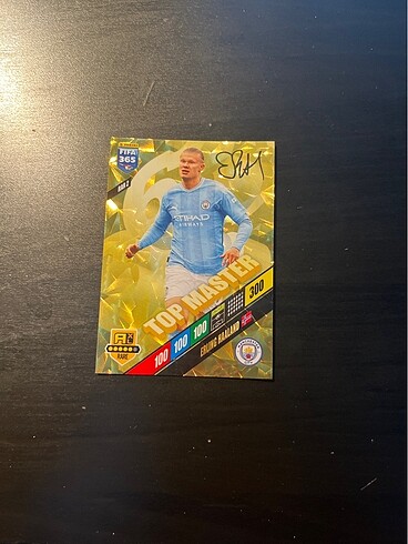 Panini haaland top master