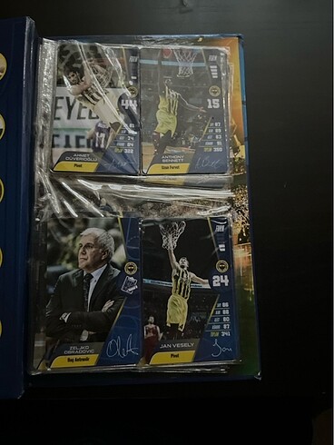  Beden Fenerbahçe 2017 basketbol imzalı basketbol kartları