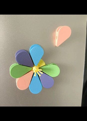 Renkli Magnet ve Tutucu - Görsel 4