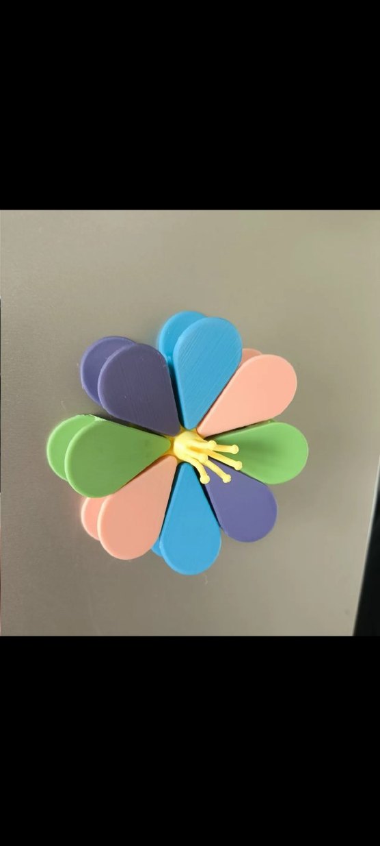 Renkli Magnet ve Tutucu - Görsel 5