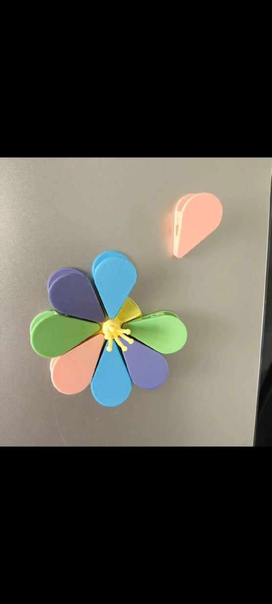 Renkli Magnet ve Tutucu - Görsel 4