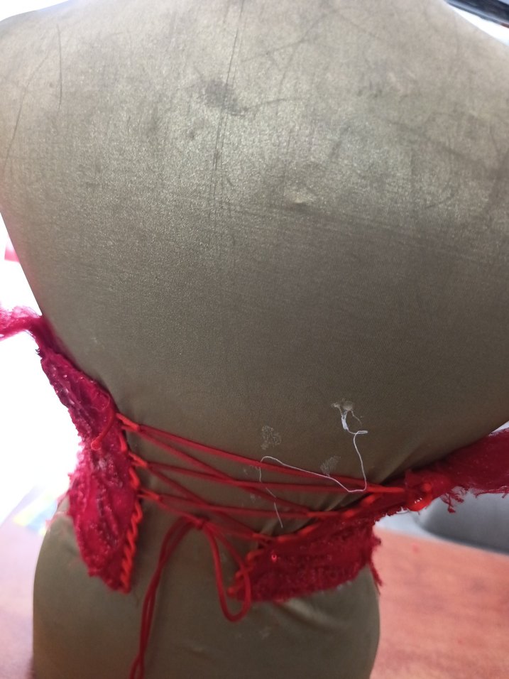 Kırmızı İşlemeli Straplez Mini Büstiyer - Görsel 2