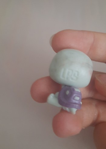  Beden Renk lps miniş kaplumbağa ailesi