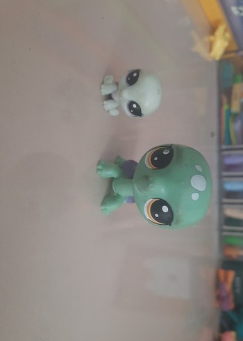 lps miniş kaplumbağa ailesi