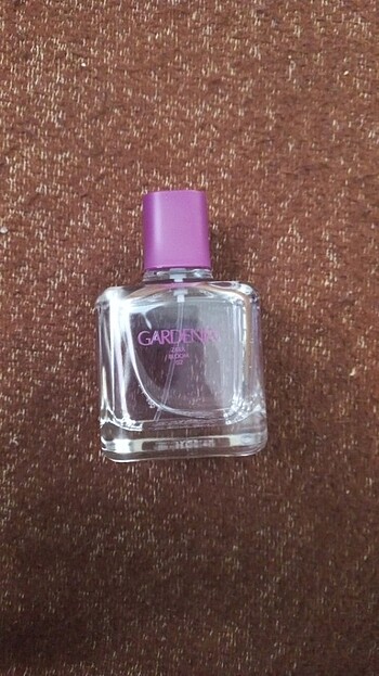 Zara Orchid