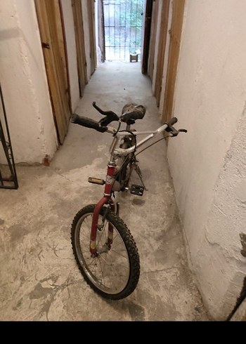 Beden Kırmızı ve Gri Çocuk Bisikleti