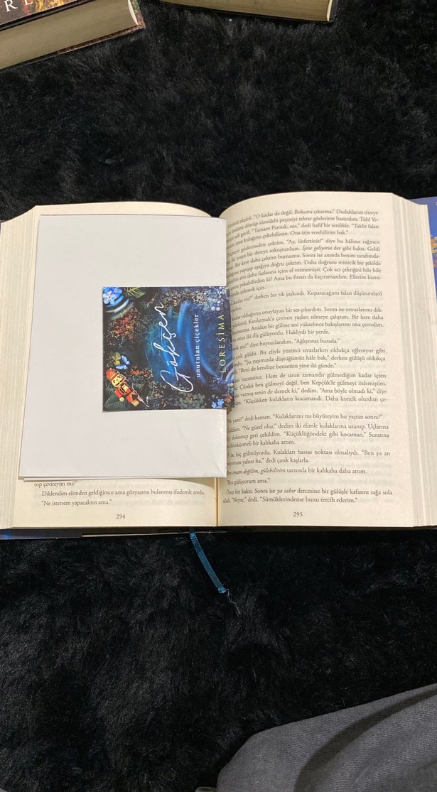 Gökçen - Loresima 1. kitap kapaklı - Görsel 2