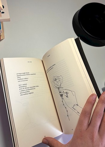 Süt ve Bal - Rupi Kaur - Görsel 3