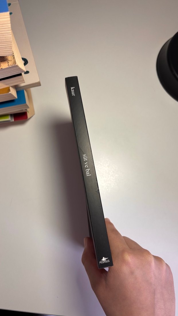 Süt ve Bal - Rupi Kaur - Görsel 2