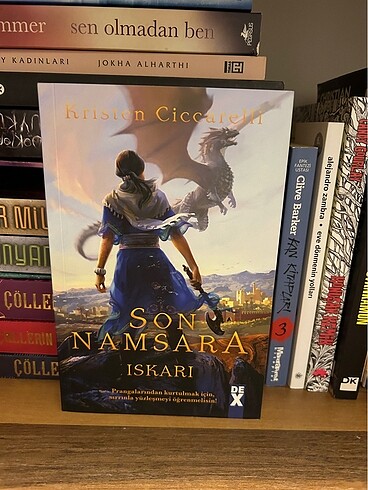 Son namsara