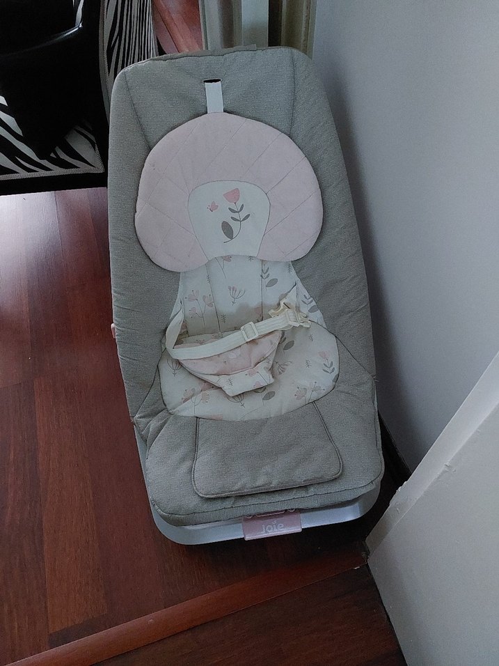 Joie Marka Bebek Ana Kucağı - Görsel 2