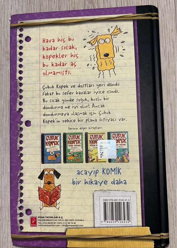 Çubuk Köpek Dondurma Peşinde okuma kitabı - Görsel 2