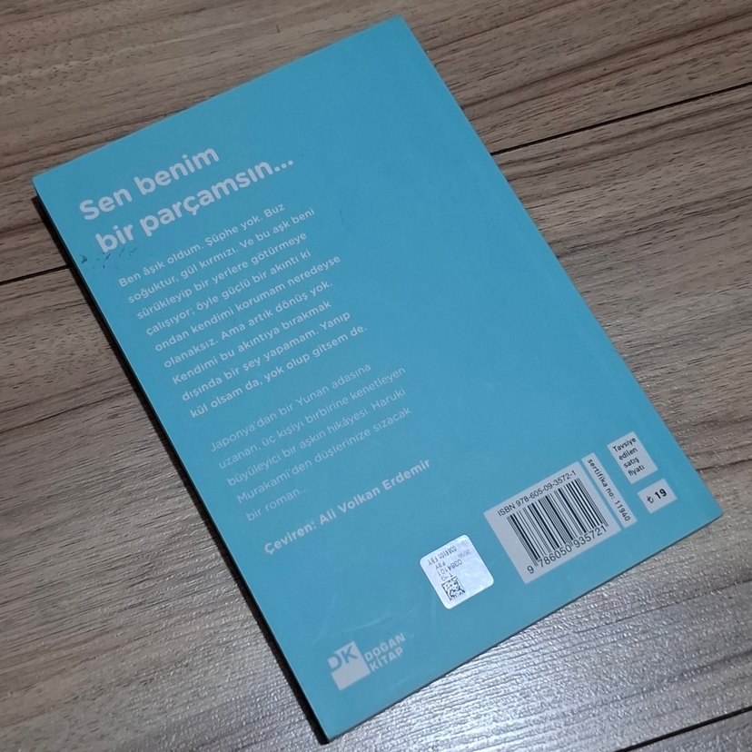 Sputnik Sevgilim - Haruki Murakami - Görsel 2