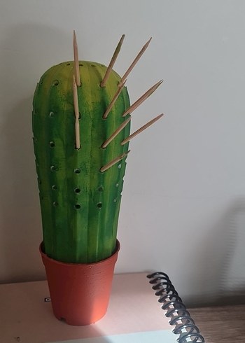 Yeşil Kaktüs Kürdanlık - Görsel 3