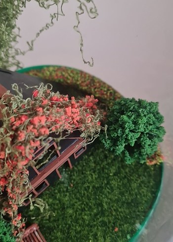 ışıklı bungolov teraryum - Görsel 6