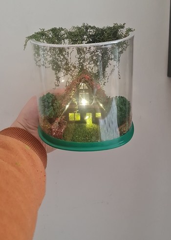 ışıklı bungolov teraryum - Görsel 8