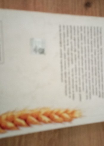 Toprak Ana - Aytaç Matov Romanı - Görsel 2