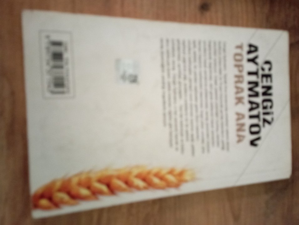 Toprak Ana - Aytaç Matov Romanı - Görsel 2