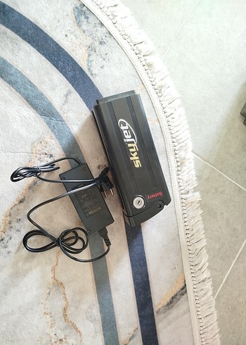 Koyu Yeşil Skyjet NITA Üç Tekerlekli Bisiklet - Görsel 2