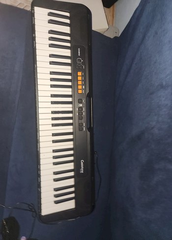 Casio CT-S100 Org
