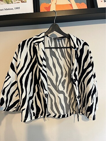 Zebra üst