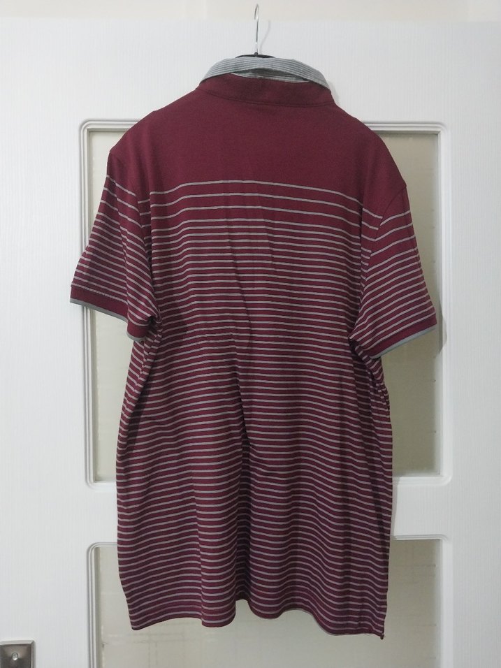 Bordo Gri Çizgili Erkek Polo Tişört - Görsel 2