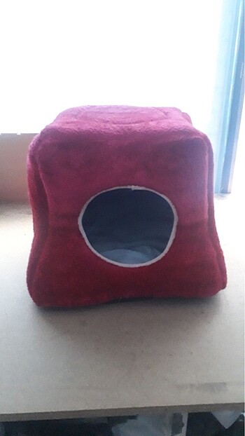 Kedi evi