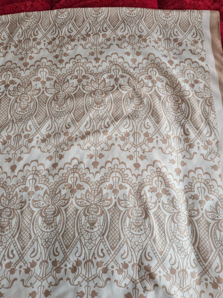 Bej Dantel Detaylı Kadın Şal - Görsel 4