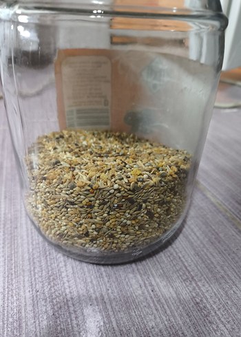 Kuş Kafesi - Görsel 8