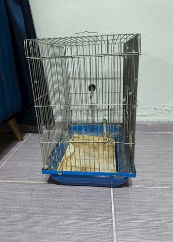 Kuş Kafesi - Görsel 3