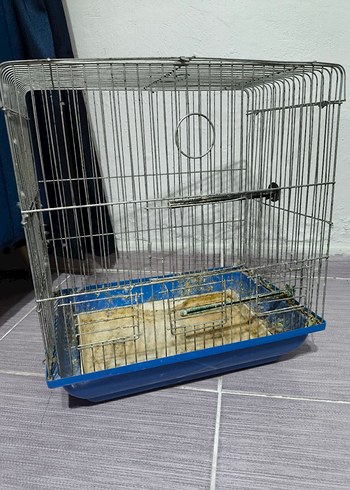 Kuş Kafesi - Görsel 4