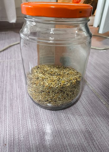 Kuş Kafesi - Görsel 7