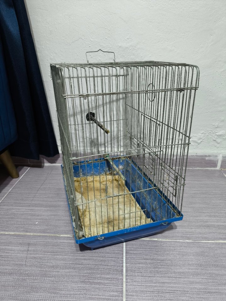 Kuş Kafesi - Görsel 2