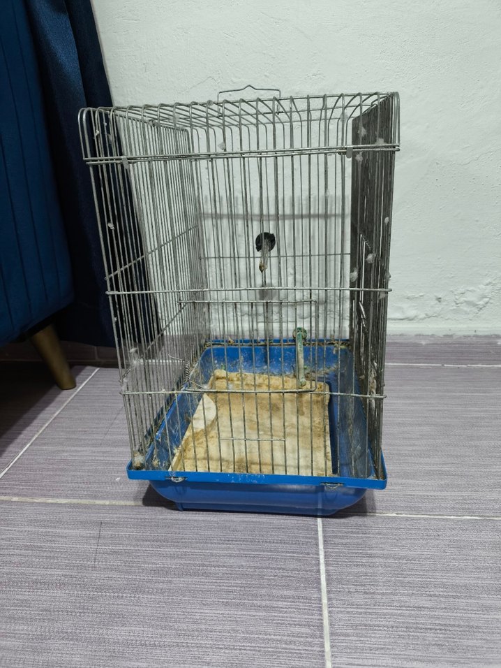 Kuş Kafesi - Görsel 3