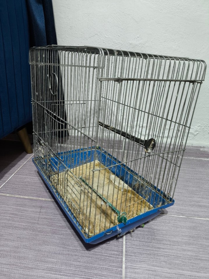 Kuş Kafesi - Görsel 5