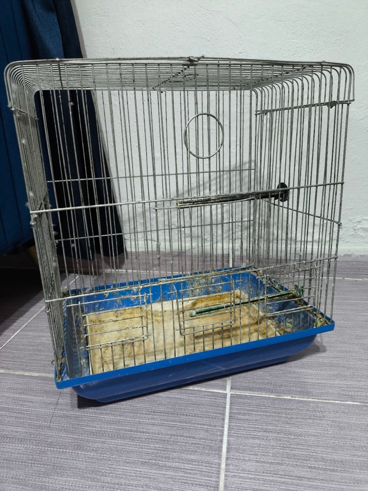 Kuş Kafesi - Görsel 4