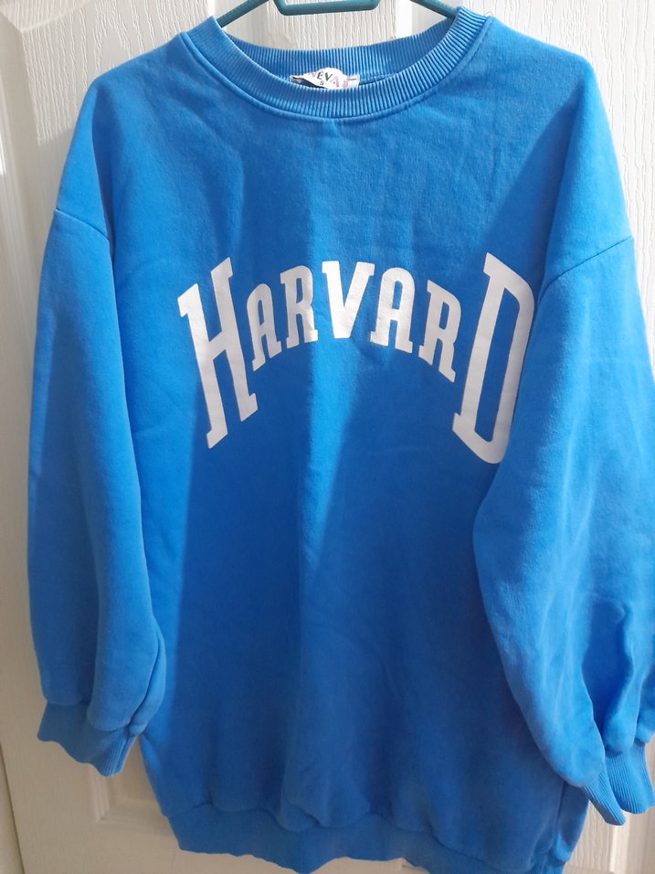 Mavi Harvard Baskılı Kadın Sweatshirt - Görsel 2