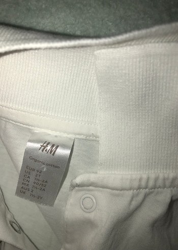 12-18 Ay Beden Polo Yaka Erkek Çocuk