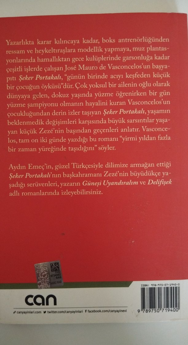 şeker portakalı - Görsel 2