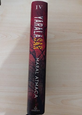 Yaralı Sar - Maral Atmaca - Görsel 2