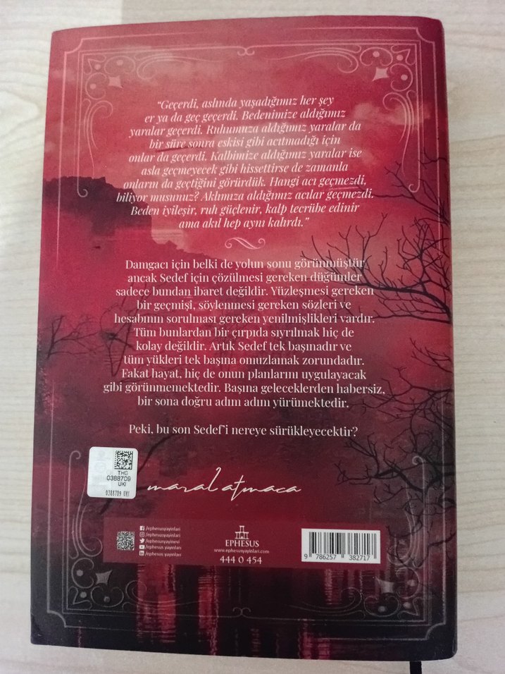 Yaralı Sar - Maral Atmaca - Görsel 3