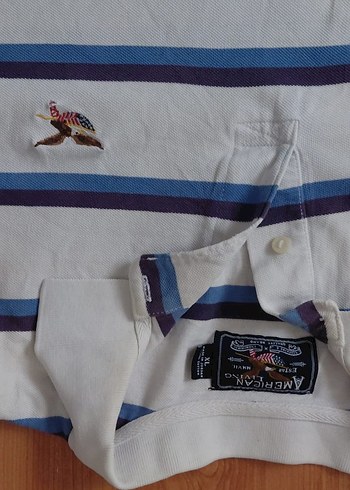 American Living Polo Yaka - Görsel 3