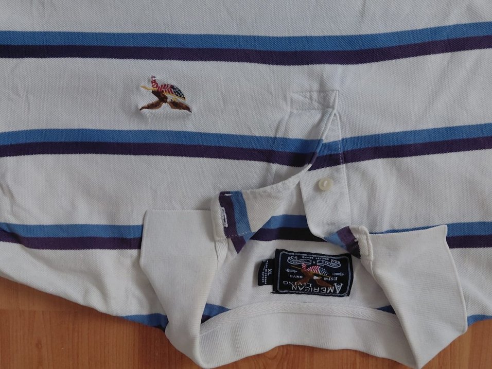 American Living Polo Yaka - Görsel 3